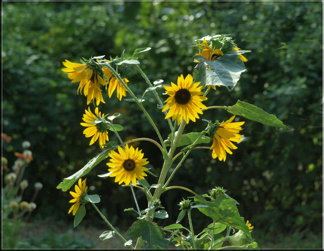 ������������ 2 ����� ������  �� PhotoGeek.ru #������ ��� �������