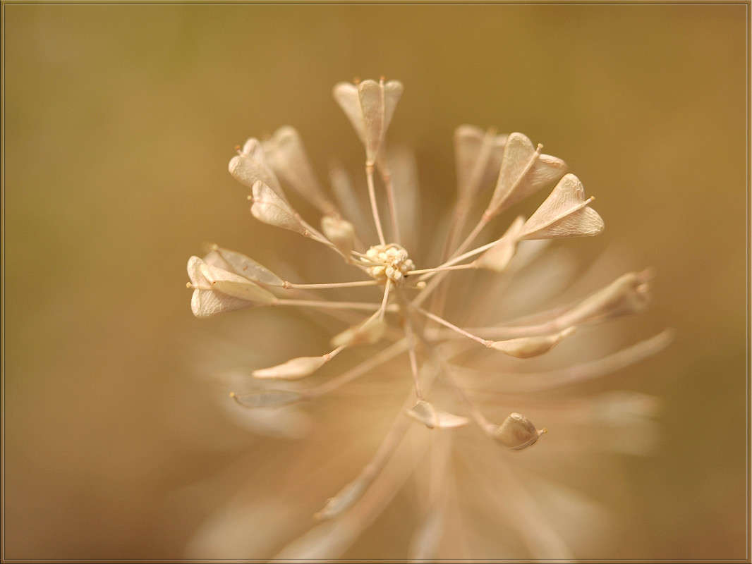 �������� ����� ����� ������  �� PhotoGeek.ru #������ ��� �������