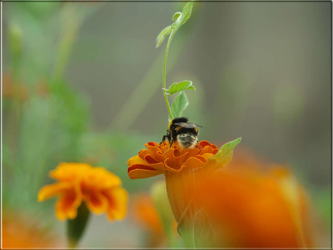 �������� ����� ������  �� PhotoGeek.ru #������ ��� �������