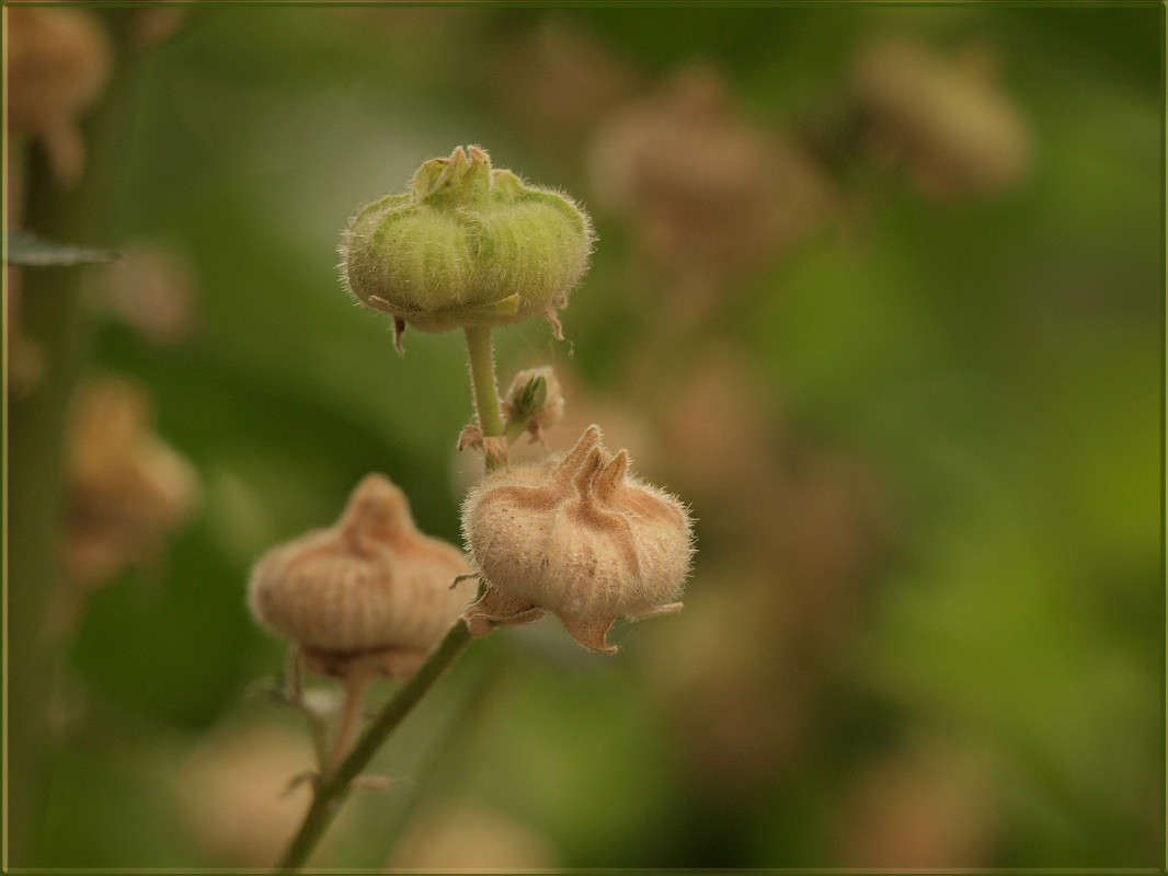 ������� � �������� ����� ������  �� PhotoGeek.ru #������ ��� �������