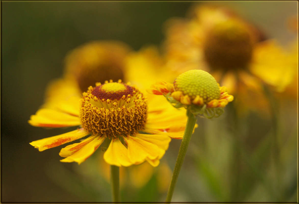 ��������� ������ ����� ������  �� PhotoGeek.ru #������ ��� �������