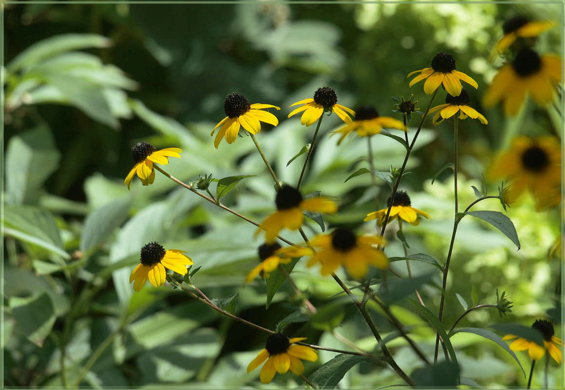 �� ����� ���� ����� ������  �� PhotoGeek.ru #������ ��� �������