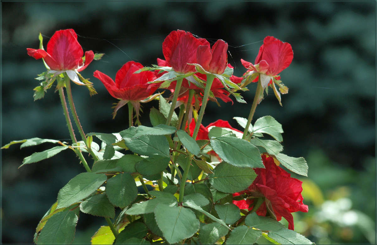 ������� � ������� ����� ������  �� PhotoGeek.ru #������ ��� �������