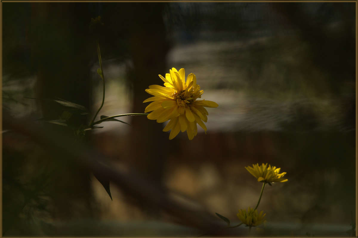 ������� �������� ����� ������  �� PhotoGeek.ru #������ ��� �������