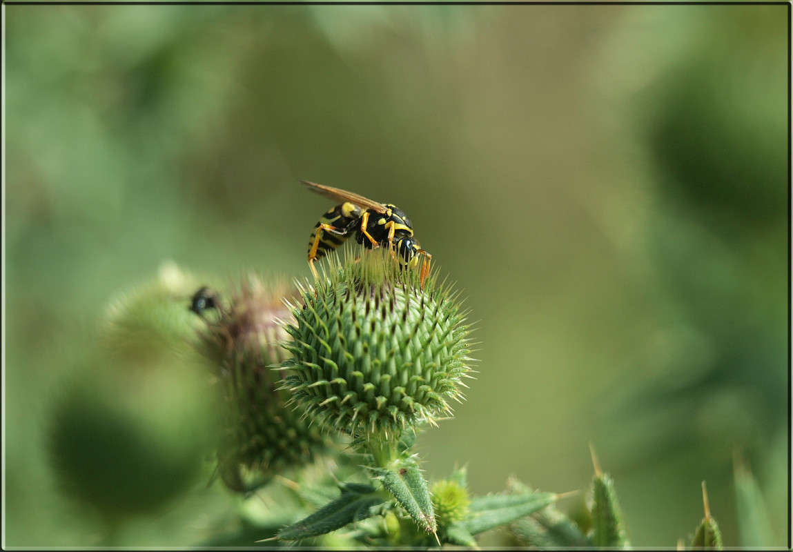 �� ������� ������ ����� ������  �� PhotoGeek.ru #�������� ���