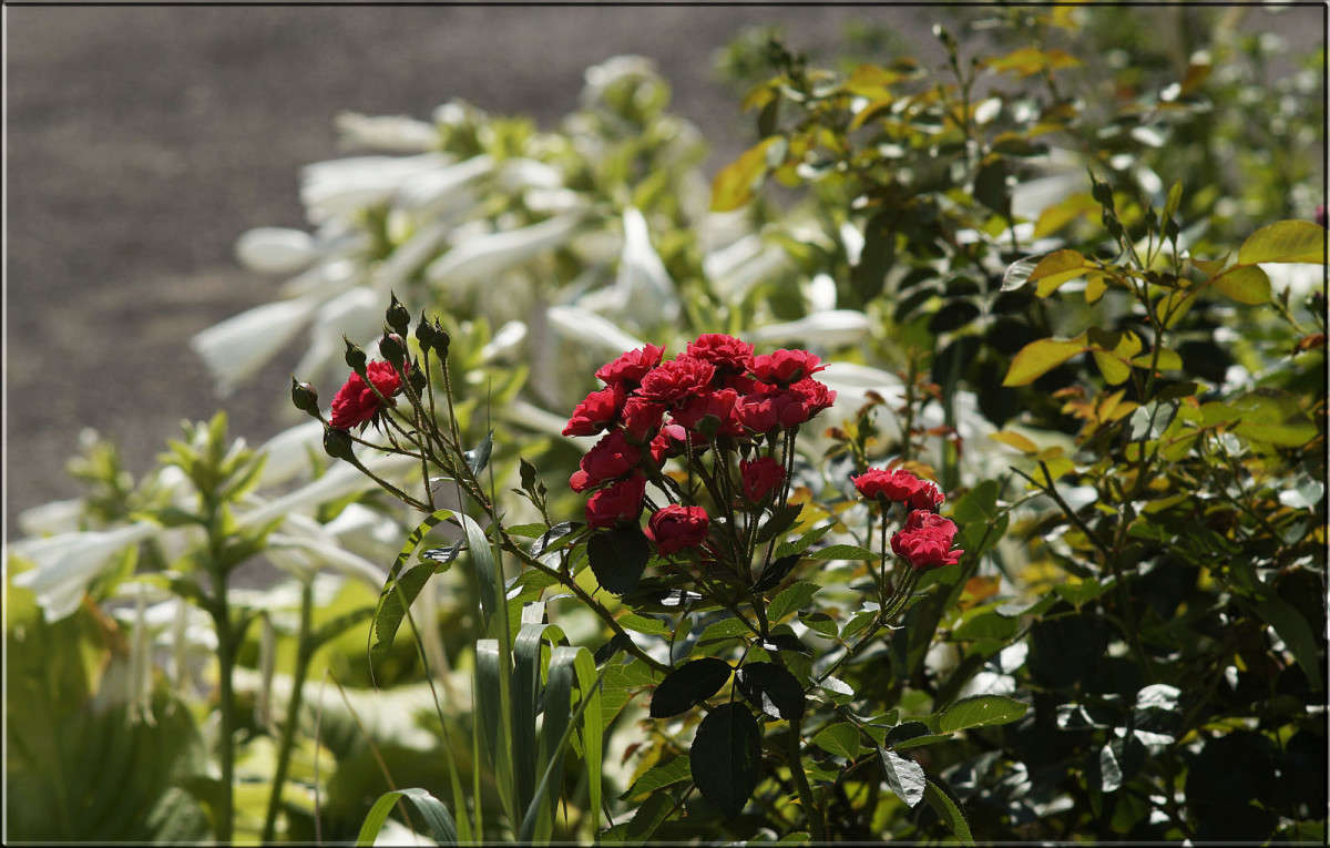 �� ����� ����� ������  �� PhotoGeek.ru #������ ��� �������