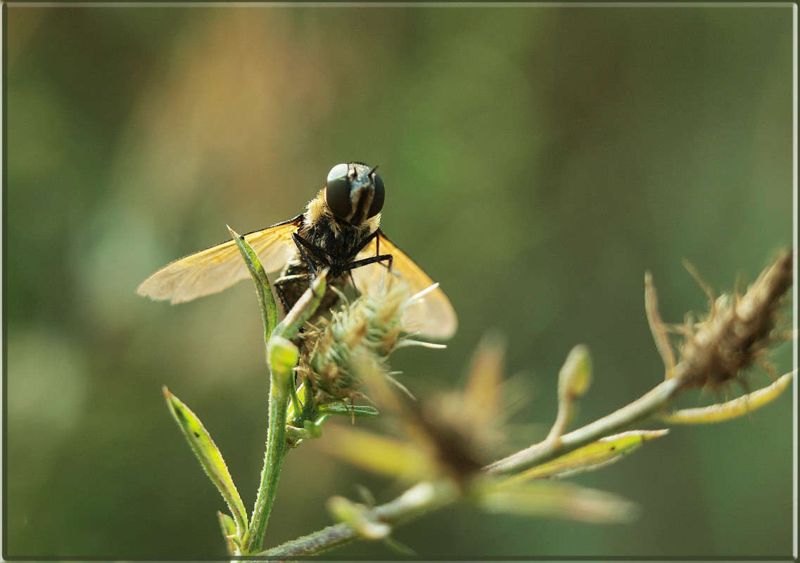 �� ������ ����� ������  �� PhotoGeek.ru #�����