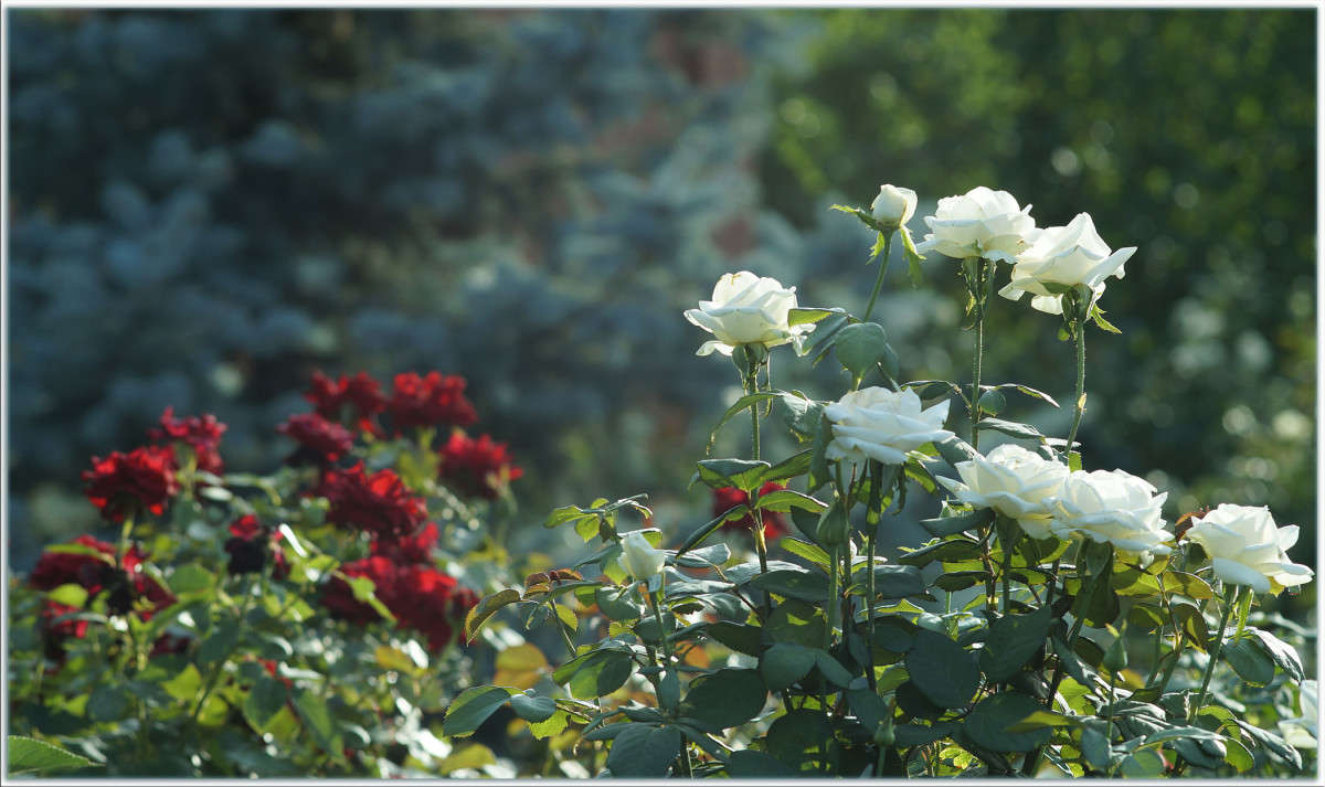 ����� ���� ����� ������  �� PhotoGeek.ru #������ ��� �������