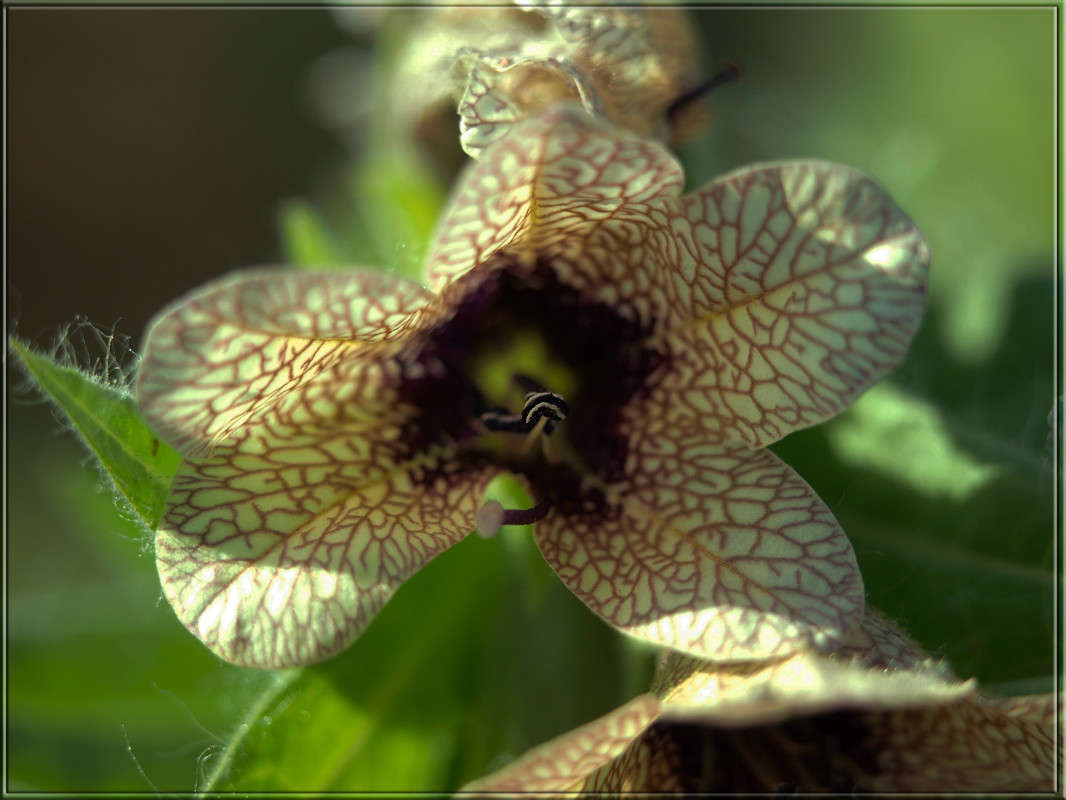 �������� ����� ������  �� PhotoGeek.ru #�����