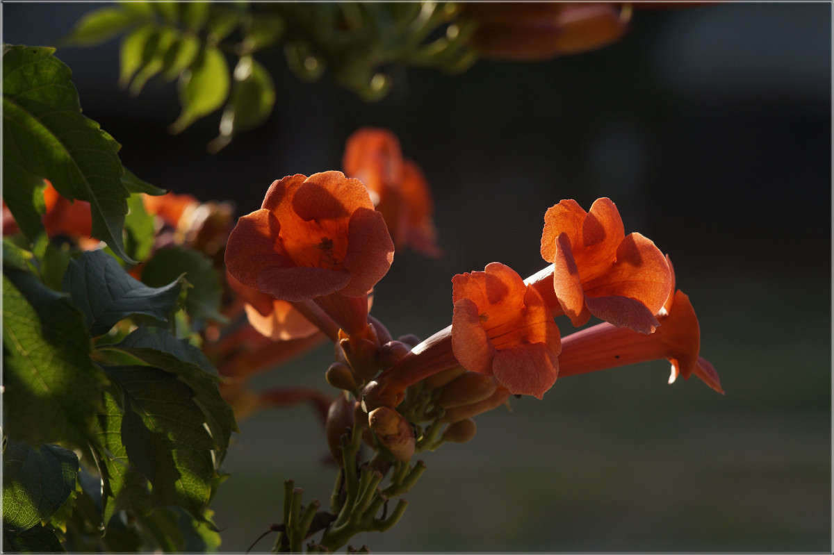 ����� �������� ����� ������  �� PhotoGeek.ru #������ ��� �������