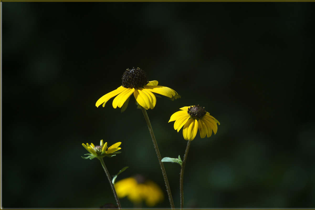 �������� ����� ����� ������  �� PhotoGeek.ru #������ ��� �������