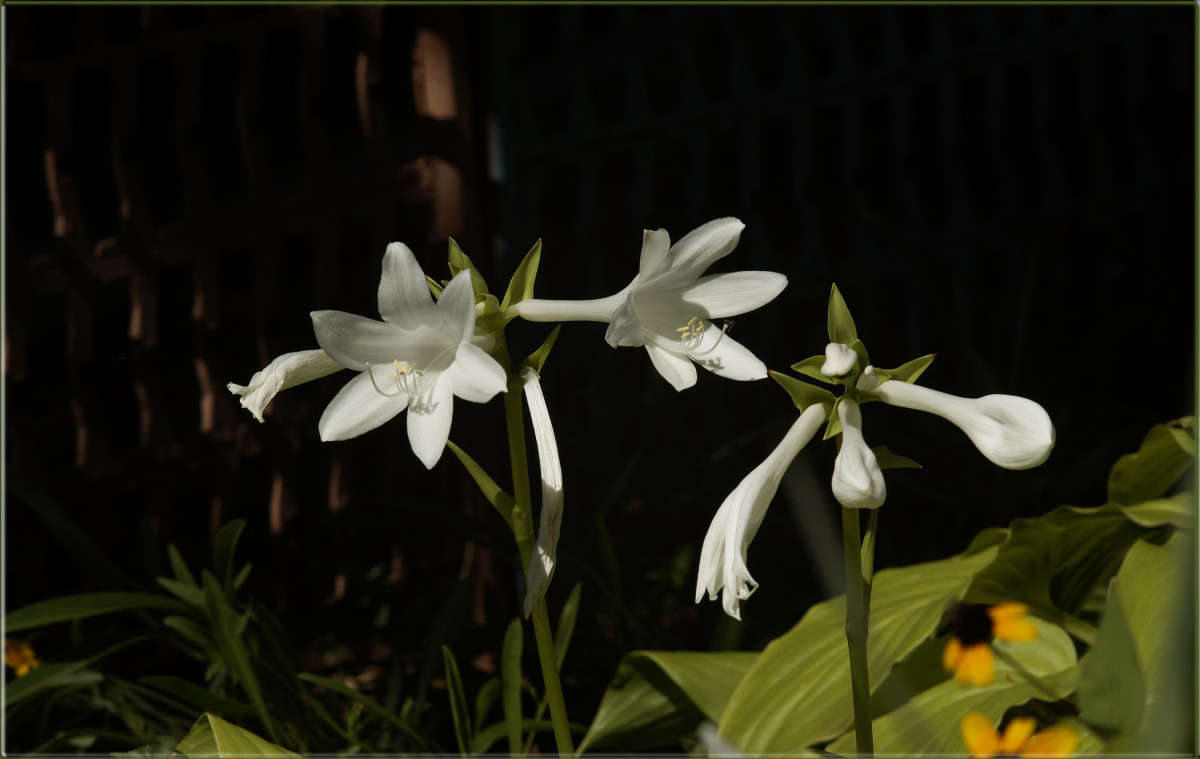 ����������� ����� ������  �� PhotoGeek.ru #������ ��� �������