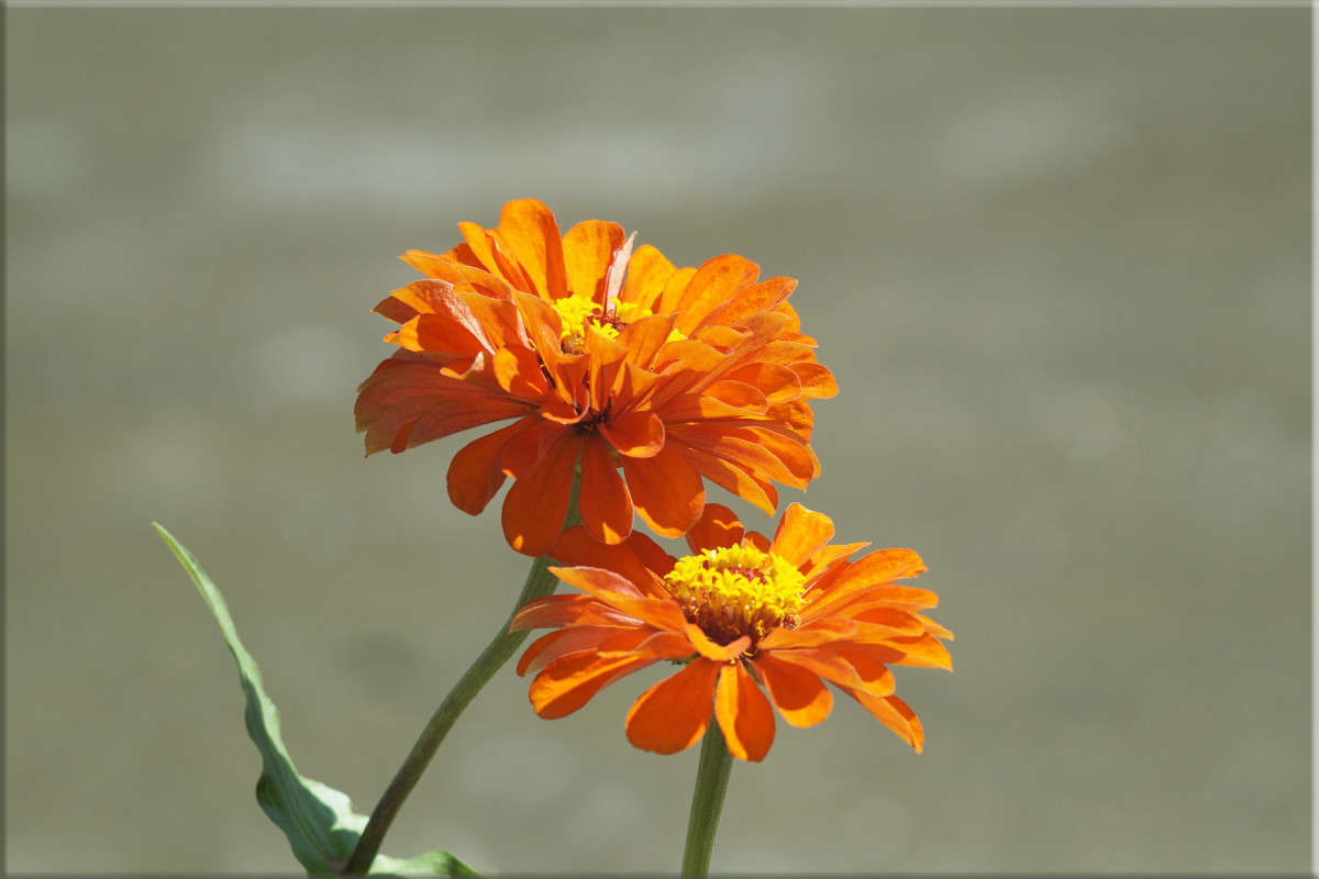 ���������� ����� ������  �� PhotoGeek.ru #������ ��� �������