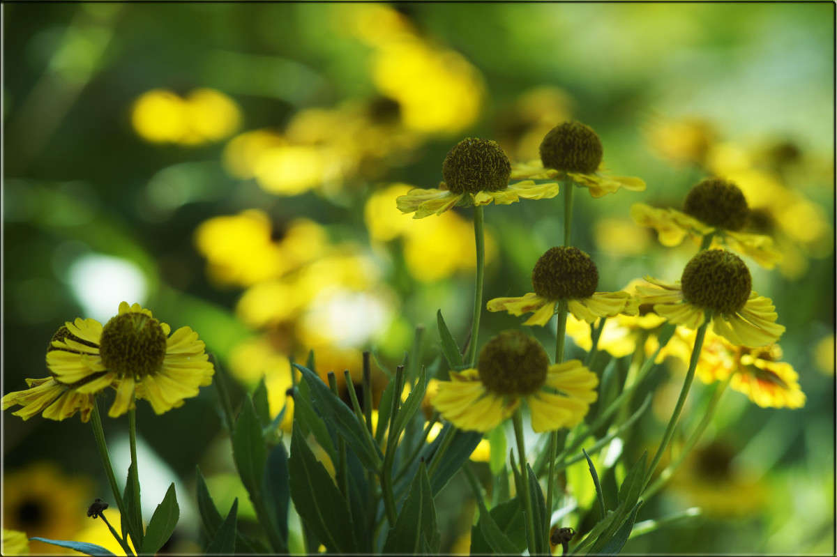 � ���� ����� ������  �� PhotoGeek.ru #������ ��� �������