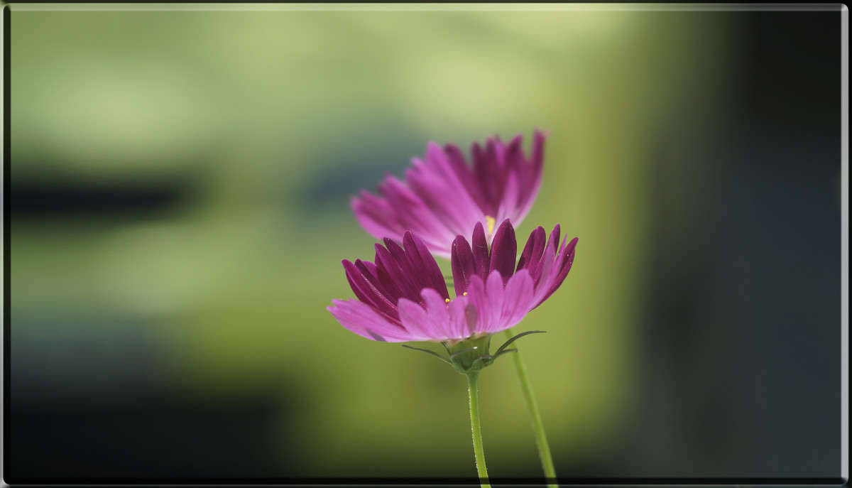 ������� � �������� ����� ������  �� PhotoGeek.ru #������ ��� �������