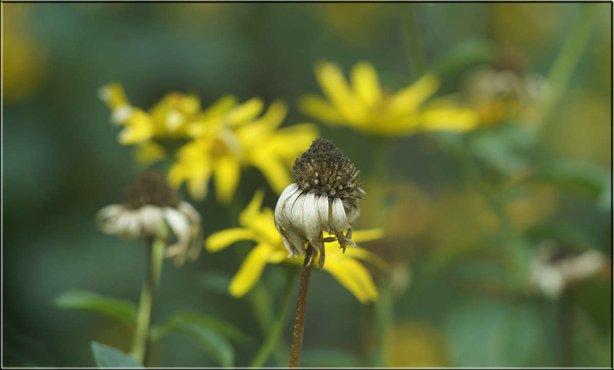 ���� ����� �� � �� ����� ������  �� PhotoGeek.ru #������ ��� �������