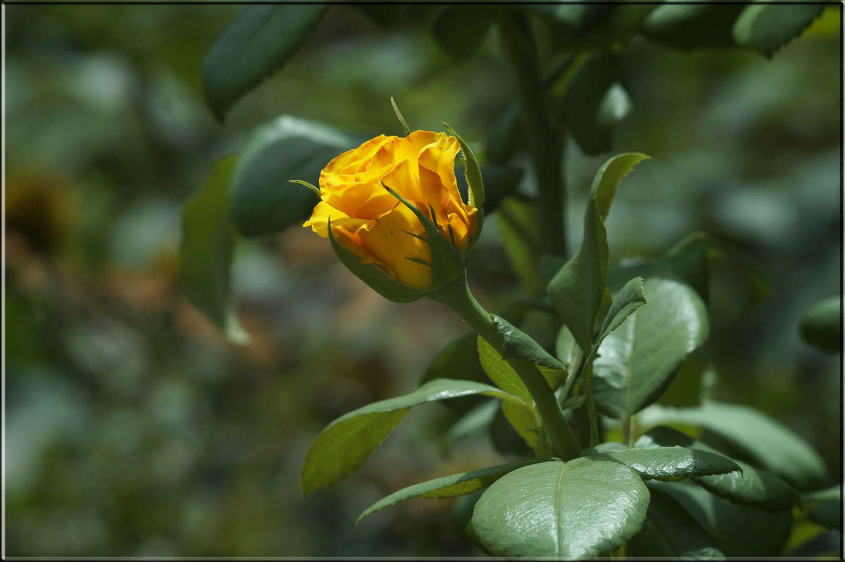 �� ������ ����� ������  �� PhotoGeek.ru #������ ��� �������