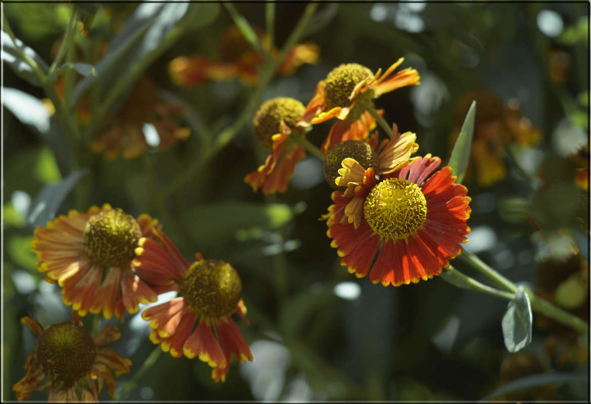 ������ ����� ������  �� PhotoGeek.ru #������ ��� �������