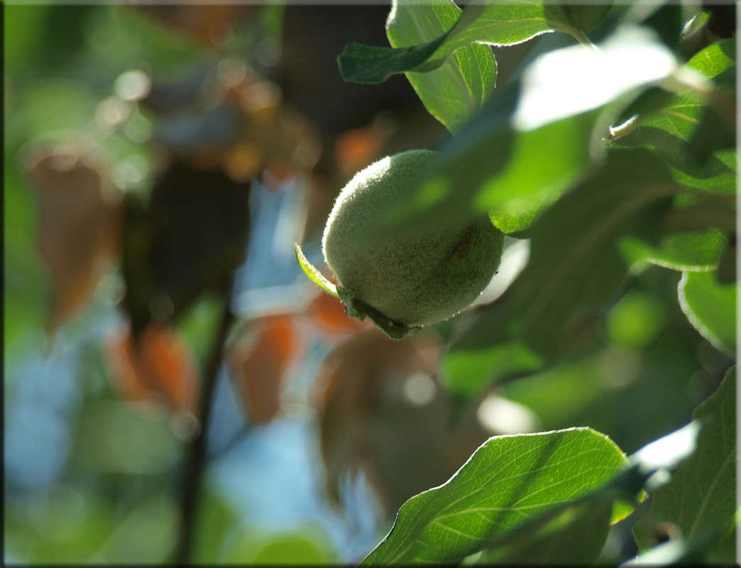 ��������� ����� 2. ����� ������  �� PhotoGeek.ru #������ ��� �������