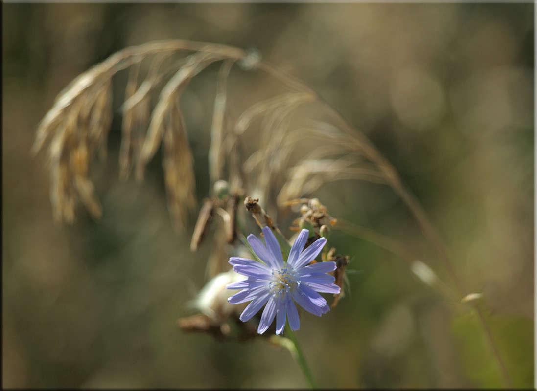 ������� ������� ����� ������  �� PhotoGeek.ru #������ ��� �������