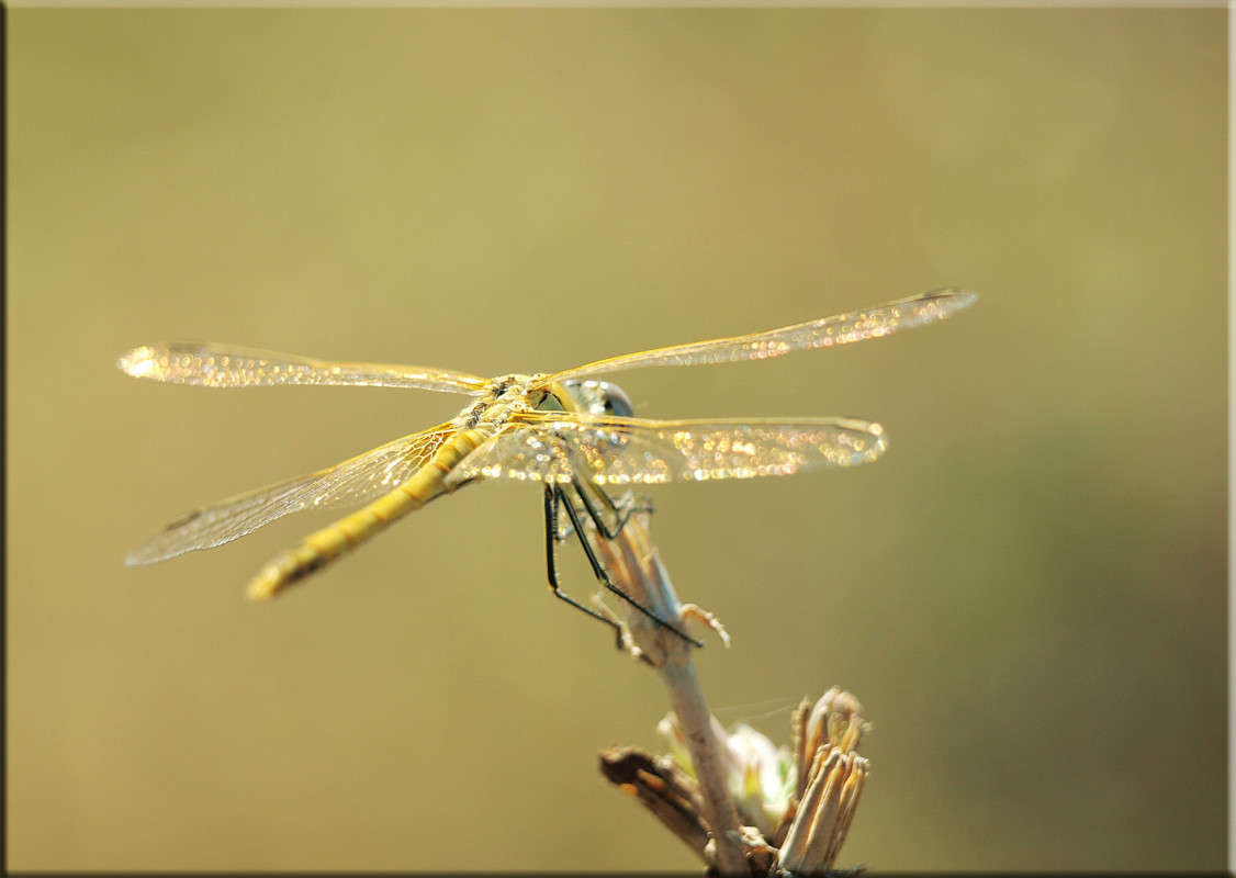 ����� ����� ����� ������  �� PhotoGeek.ru #�������� ���