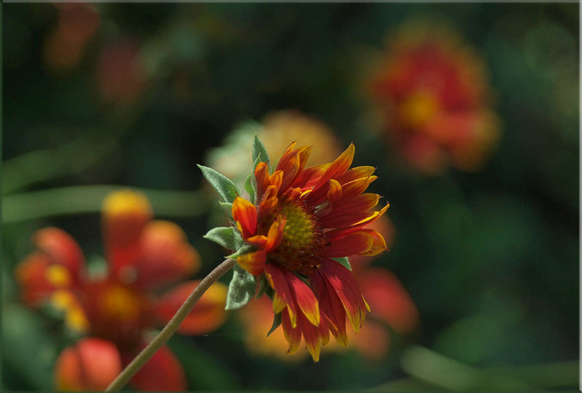 ����� ����� ����� ������  �� PhotoGeek.ru #������ ��� �������