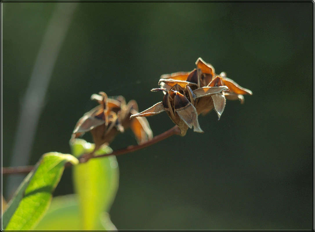 ������ ����� ������  �� PhotoGeek.ru #������ ��� �������