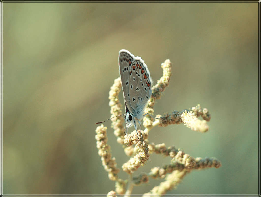 ����������� ����� ������  �� PhotoGeek.ru #�����