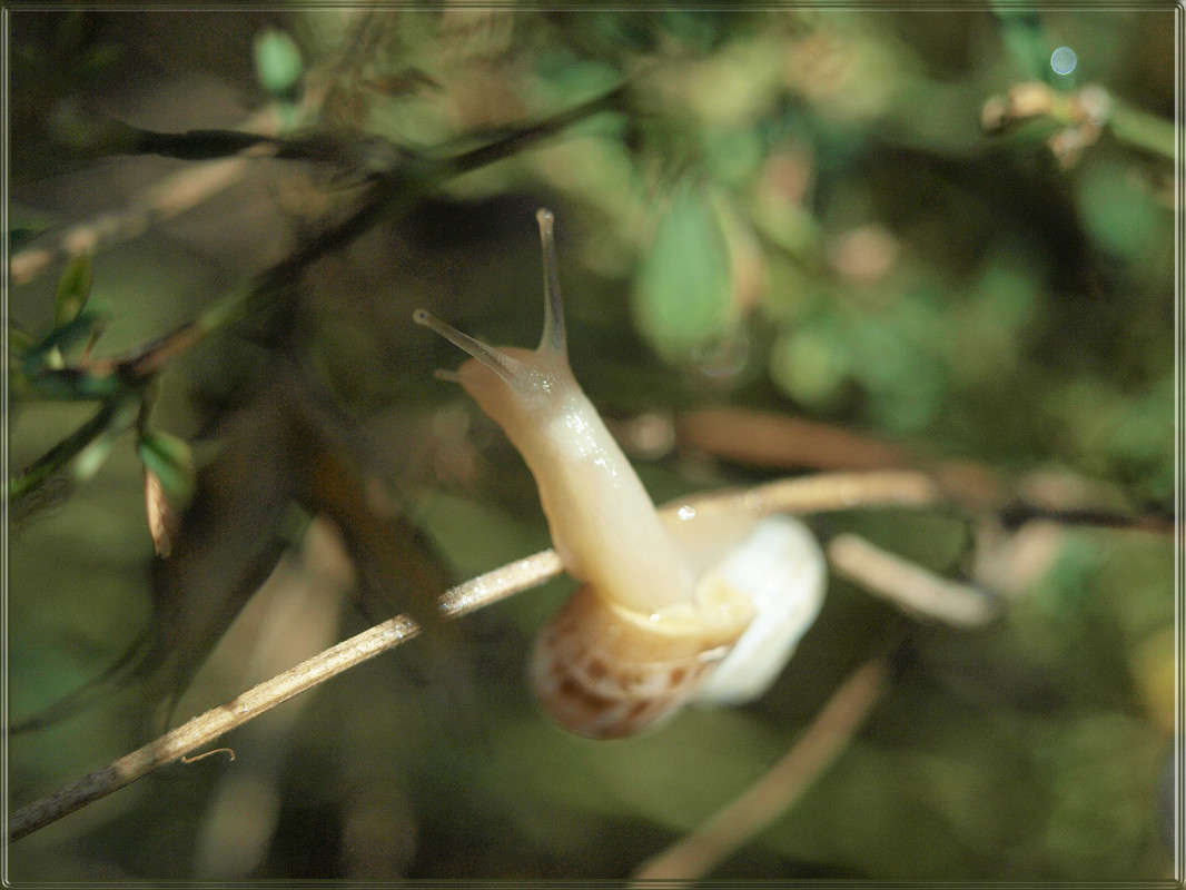 � ���� �� ������ ����� ������  �� PhotoGeek.ru #�����