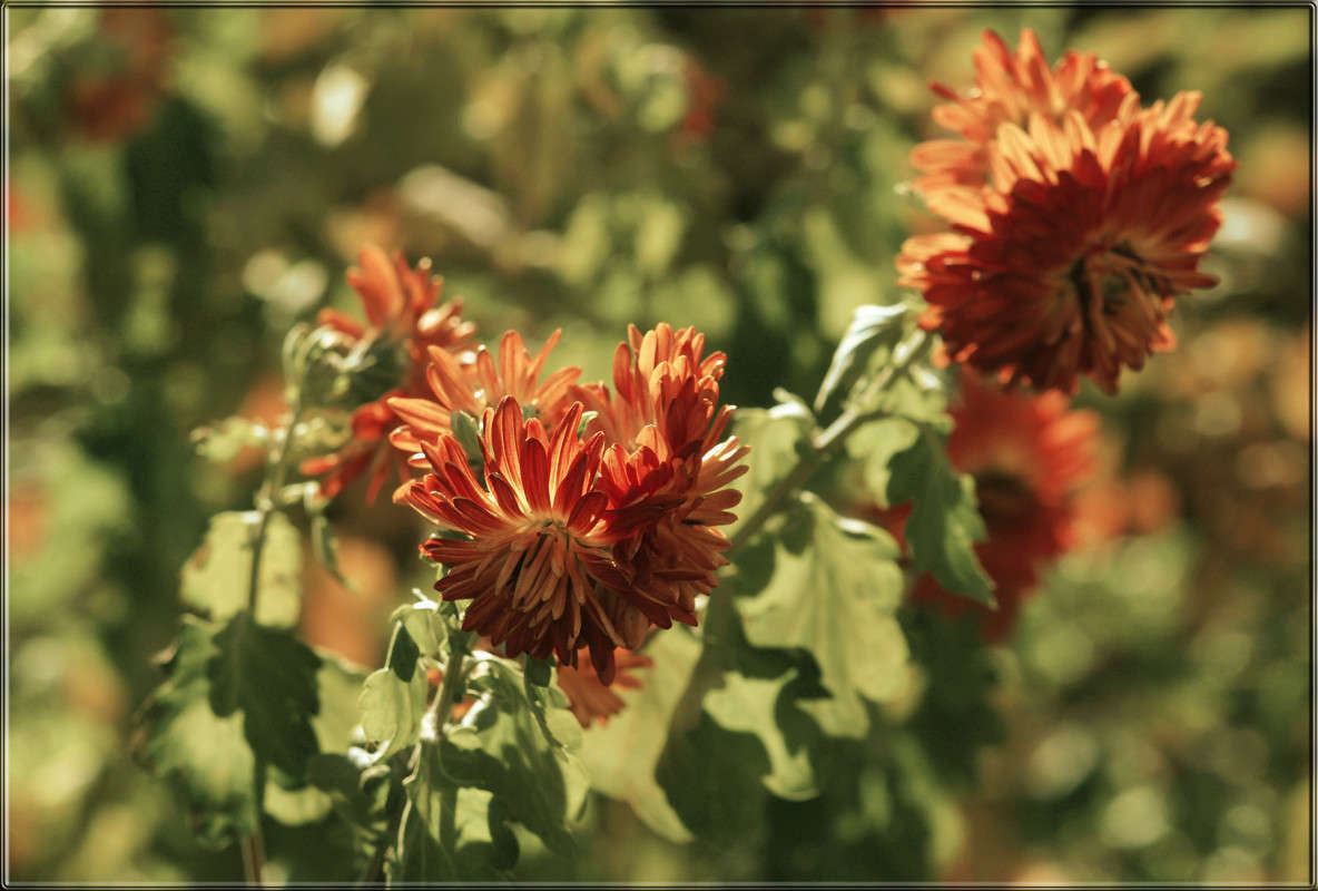 "������������ ������� ����� ������  �� PhotoGeek.ru #������ ��� �������