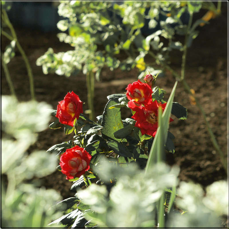 ������������ �������� ����� ������  �� PhotoGeek.ru #������ ��� �������