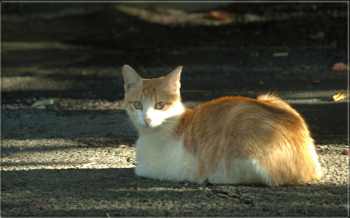 ���������� ����� ������  �� PhotoGeek.ru #�������� ���