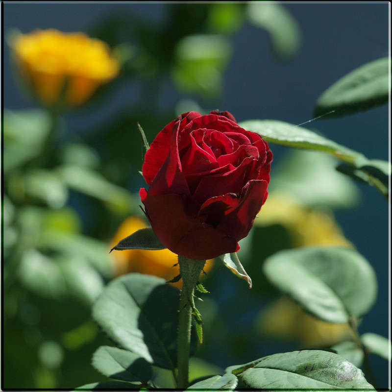 ����� ����� ����� ������  �� PhotoGeek.ru #������ ��� �������