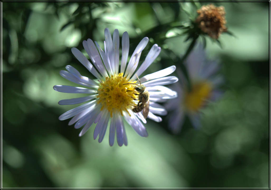 ������ � ������ ����� ������  �� PhotoGeek.ru #������ ��� �������