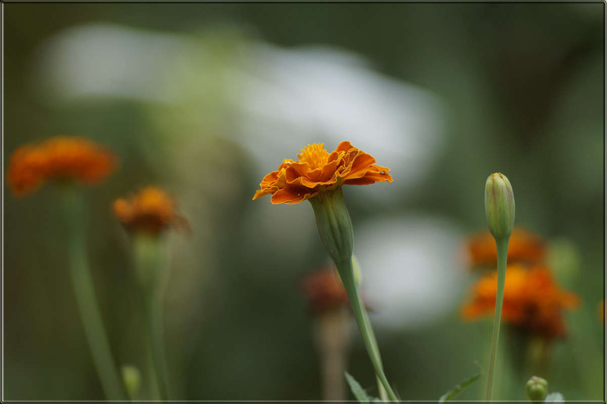 �������� ����� ������  �� PhotoGeek.ru #������ ��� �������