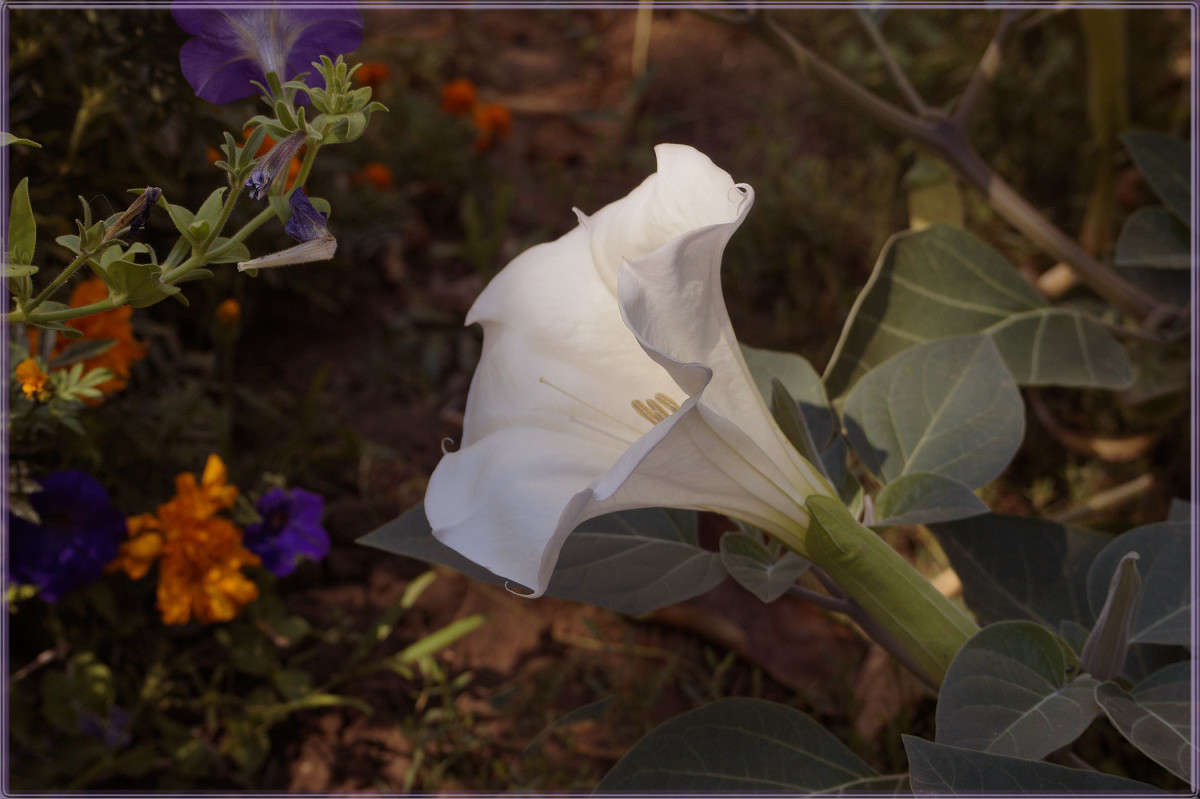 ��� ������� �������� ����� ������  �� PhotoGeek.ru #������ ��� �������