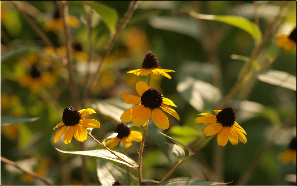 ��������. ����� ������  �� PhotoGeek.ru #������ ��� �������