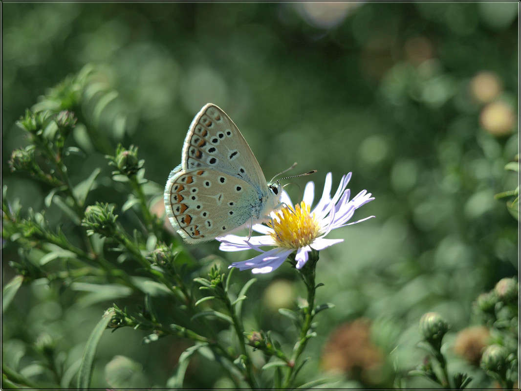 � ������ ����� 4 ����� ������  �� PhotoGeek.ru #������ ��� �������