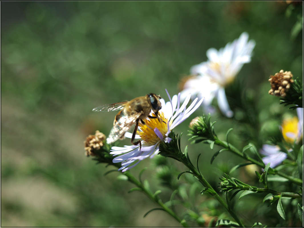 � ������ ����� ����� ������  �� PhotoGeek.ru #������ ��� �������