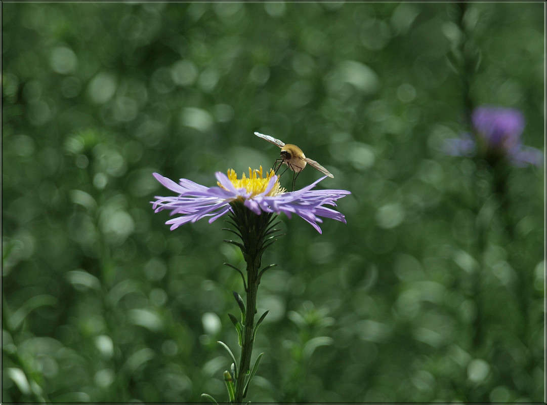 � ������ ����� 3 ����� ������  �� PhotoGeek.ru #������ ��� �������