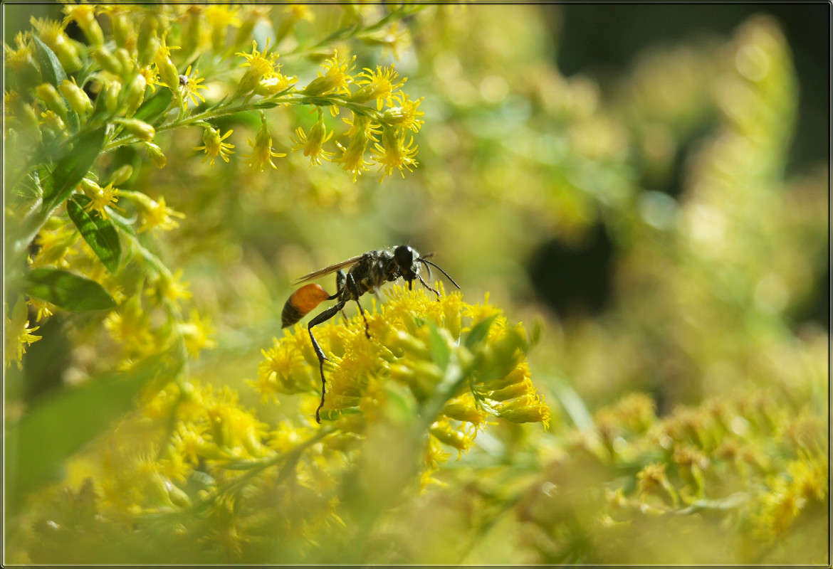 ����� ������� ����� ������  �� PhotoGeek.ru #�������� ���