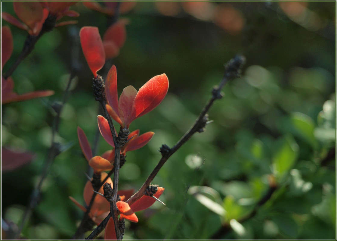 ��� ��� �������� � ��������� ����� ������  �� PhotoGeek.ru #������ ��� �������