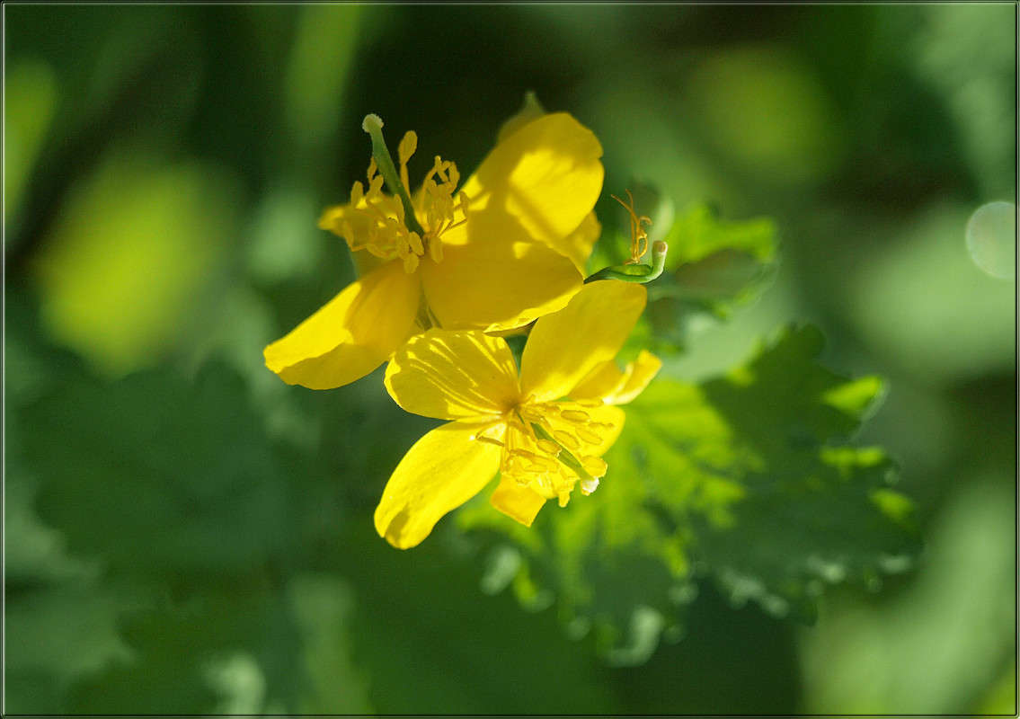 ������ ���� ���������. ����� ������  �� PhotoGeek.ru #������ ��� �������