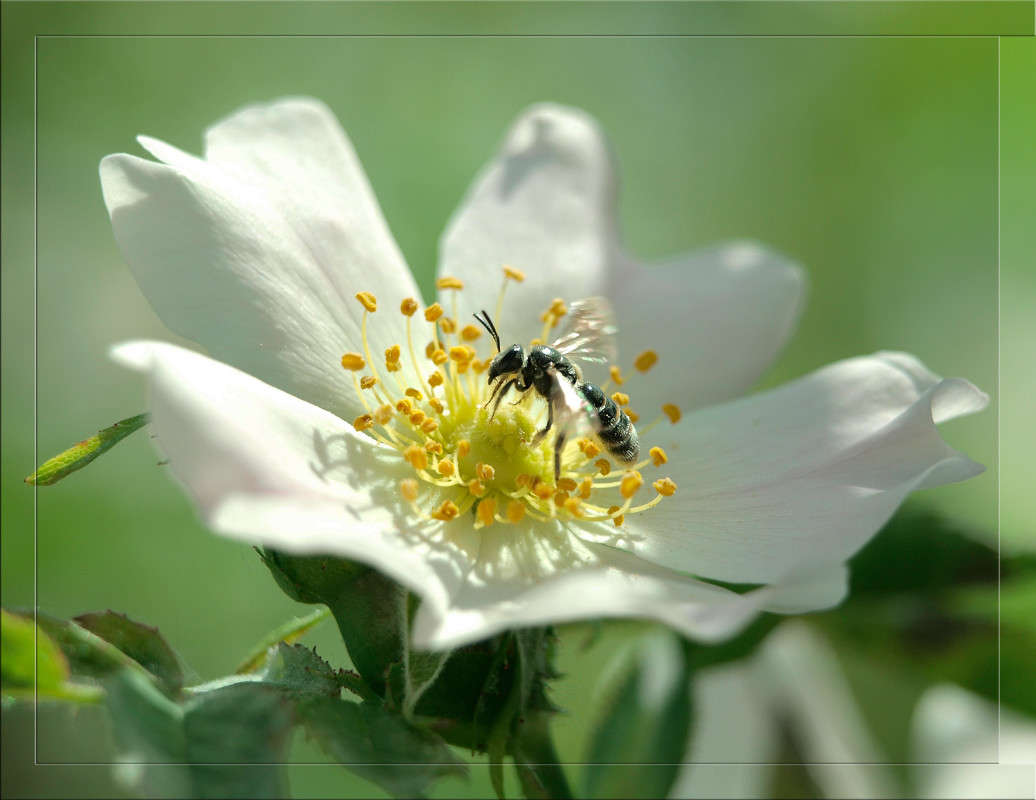 �������� �� ��������� ����� ������  �� PhotoGeek.ru #�����