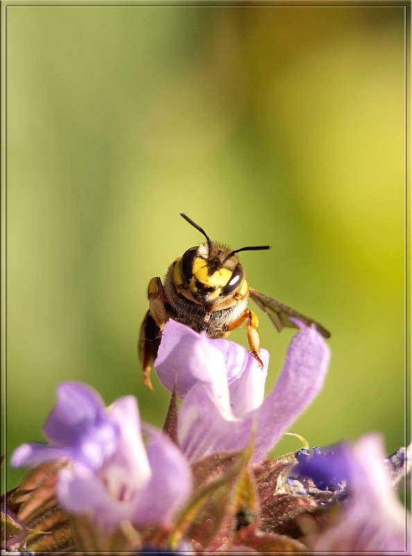 ���������.jpg ����� ������  �� PhotoGeek.ru #�����