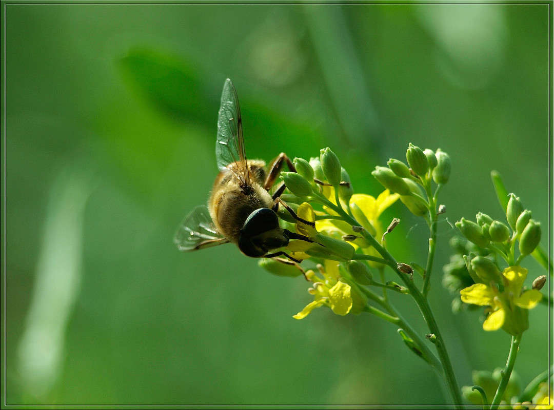 �� ������� �������� ����� ������  �� PhotoGeek.ru #�����