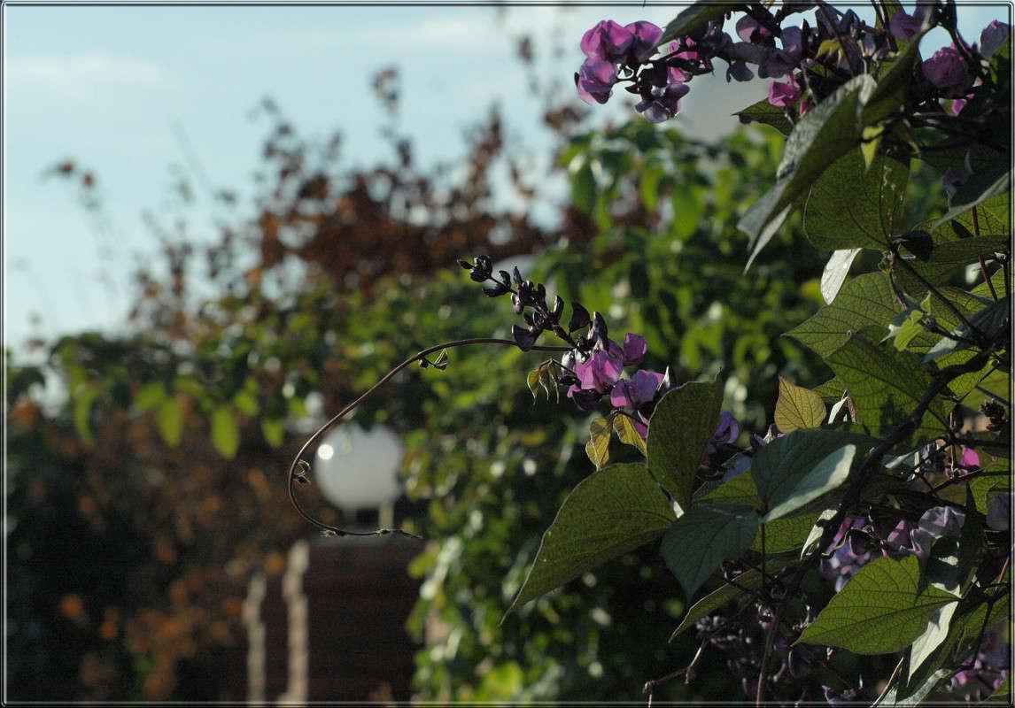 ������� ��� ��������� ����� ������  �� PhotoGeek.ru #������ ��� �������