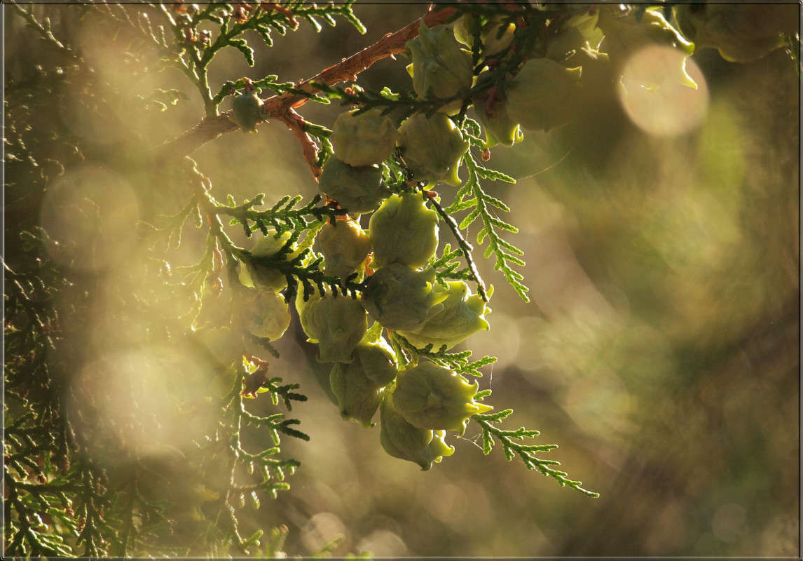 ������� � ����� ���������� ����� ������  �� PhotoGeek.ru #������ ��� �������