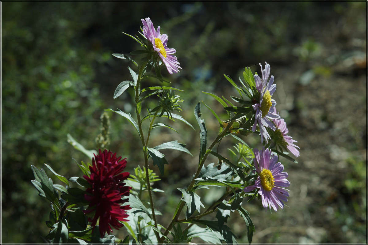 ����� �������. ����� ������  �� PhotoGeek.ru #������ ��� �������