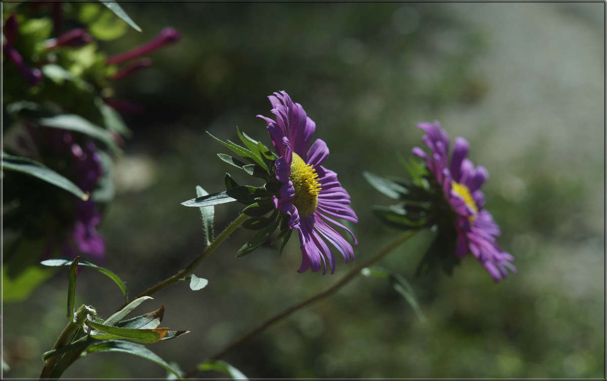 ����� ������� 2 ����� ������  �� PhotoGeek.ru #������ ��� �������